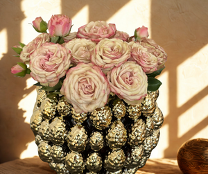 Vase Goldene Pinie in sommerlicher Abendstimmung